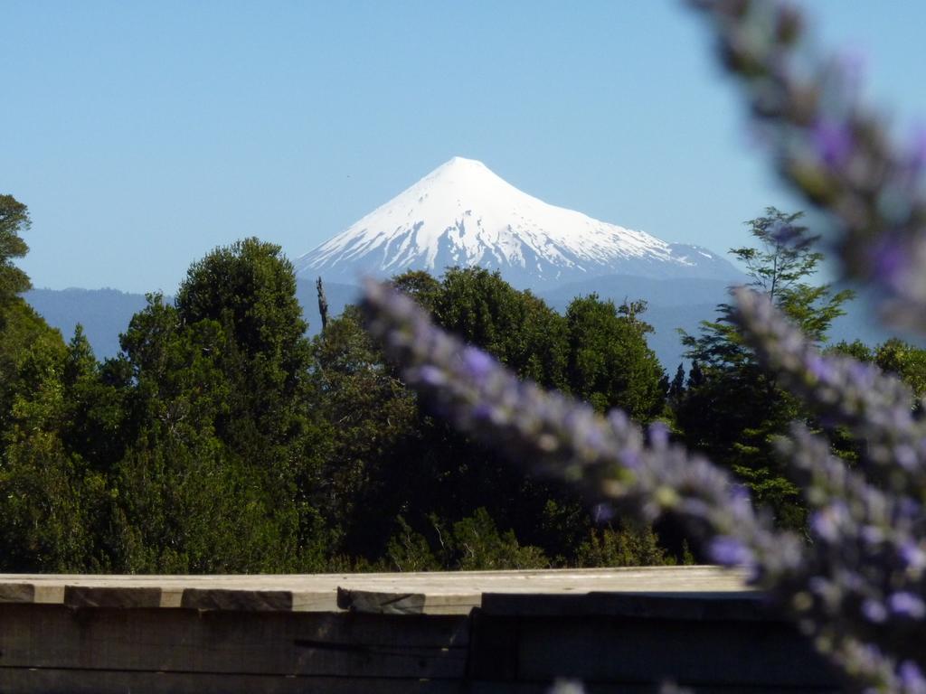 El Taique Lodge